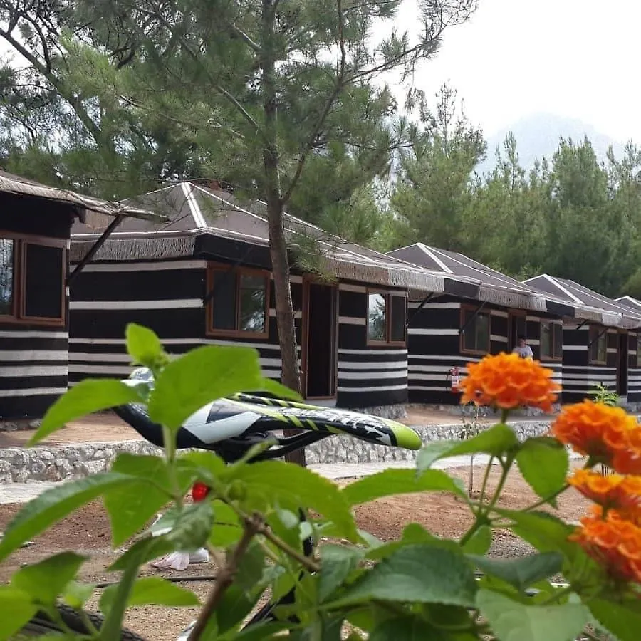 Bed and Breakfast Durusu Ciftlikevleri à Datça Turquie